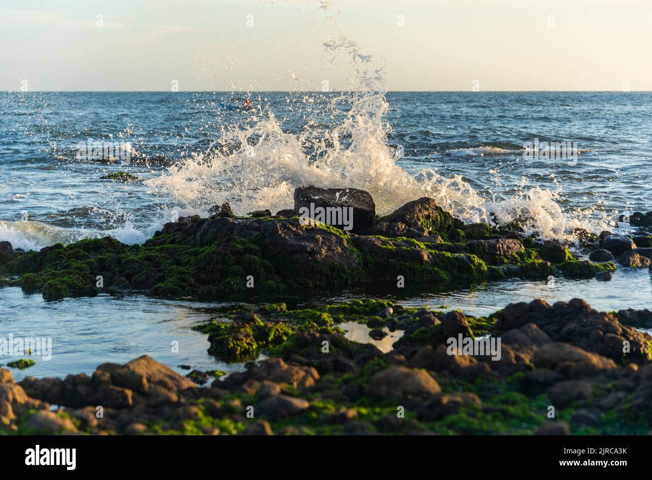 Beach waves crashing on smooth and slippery rocks. Rio Vermelho beach in Salvador, Brazil. Stock Photo