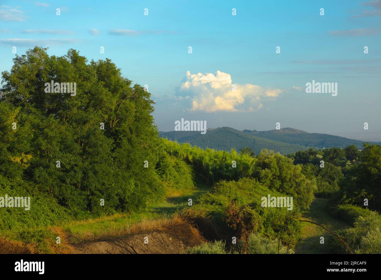 Wide angle view of the Italian unspoiled nature landscape in Teano Stock Photo