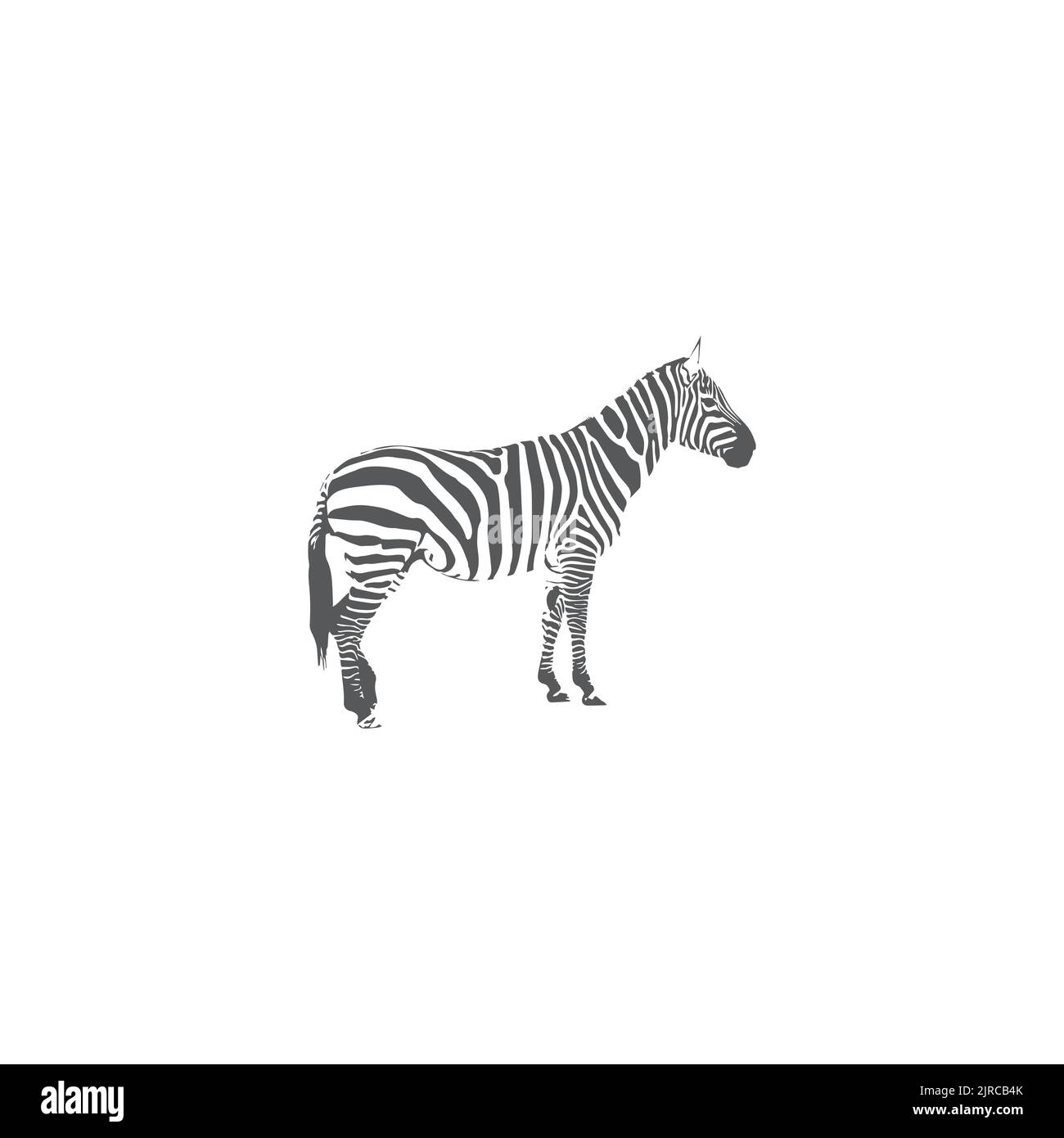 Zebra Logo Design Inspiration. Zebra logo on white background Stock ...