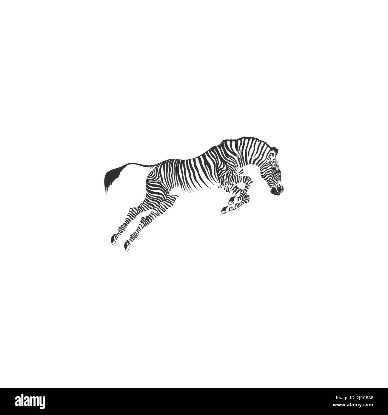 Zebra Logo Design Inspiration. Zebra logo on white background Stock Vector