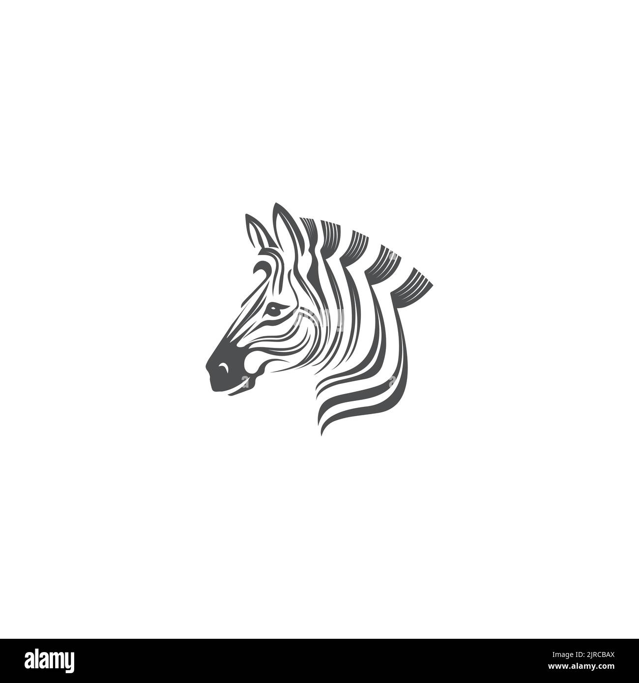 Zebra Logo Design Inspiration. Zebra logo on white background Stock
