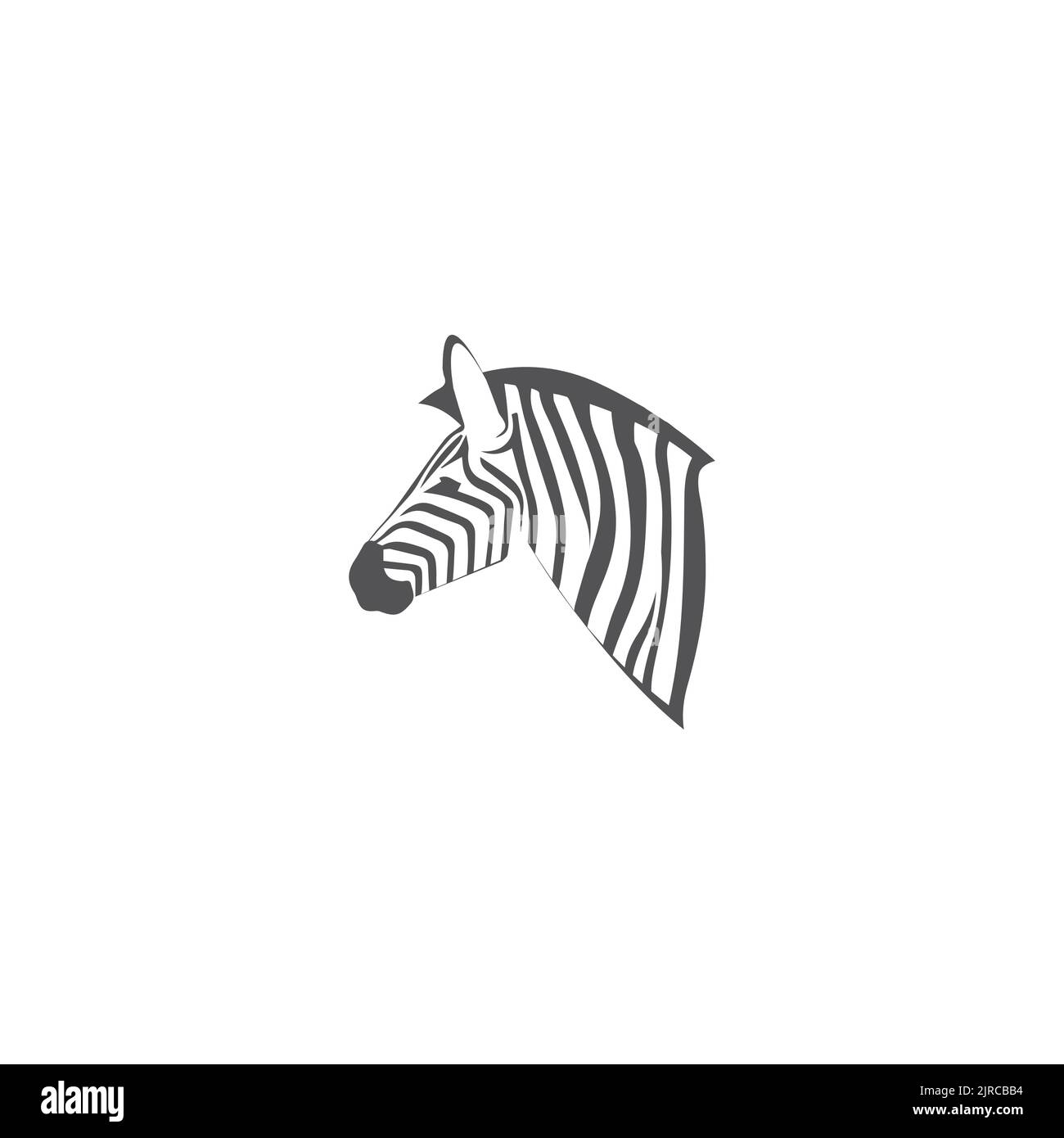 Zebra Logo Design Inspiration. Zebra logo on white background Stock