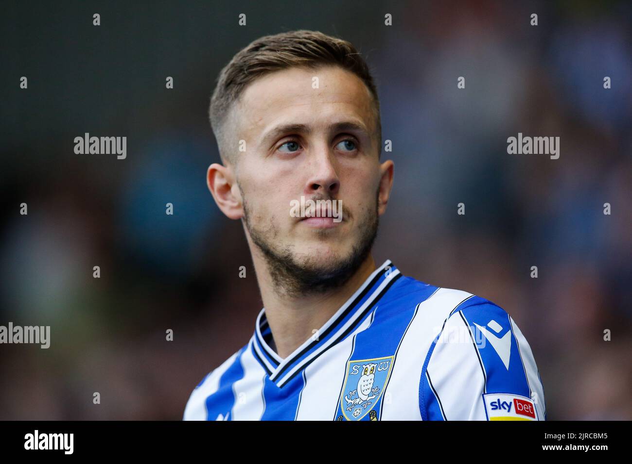 Will Vaulks 4 of Sheffield Wednesday Stock Photo Alamy