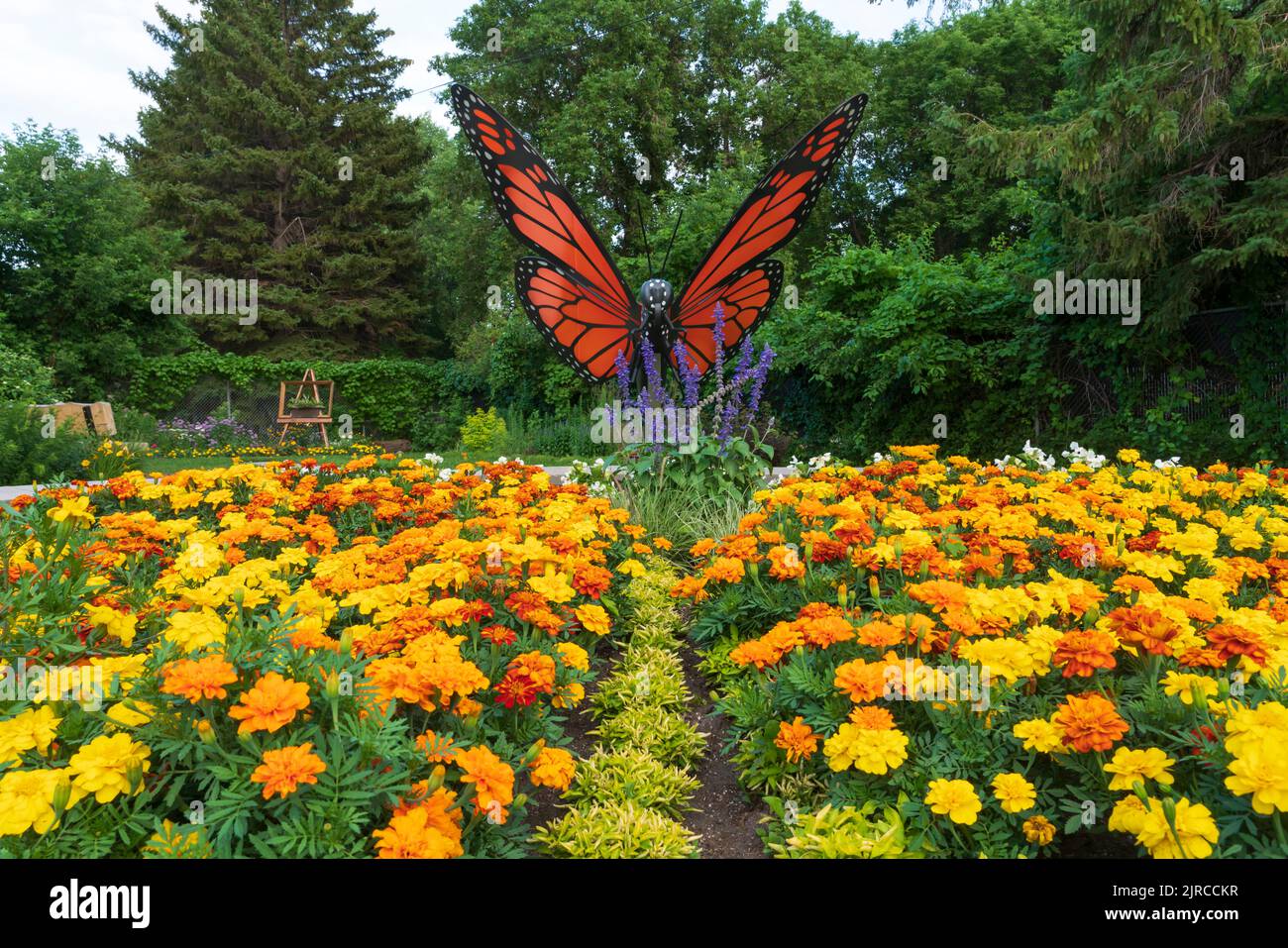 A flower garden and butterfly sculpture at the Butterfly Gardens near