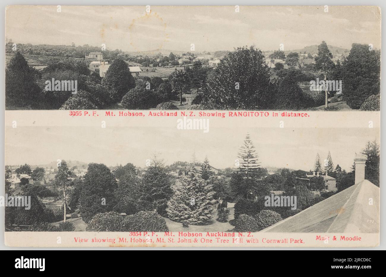 Mount Hobson, Auckland, New Zealand, 19041915, Auckland, by Muir