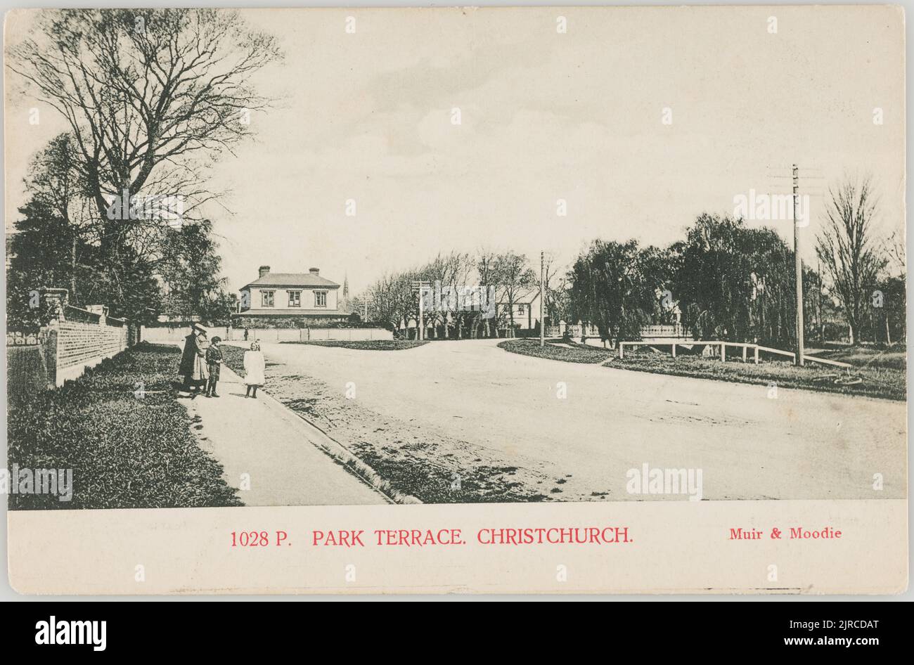 Park Terrace, Christchurch, 1905, Christchurch, by Muir & Moodie Stock