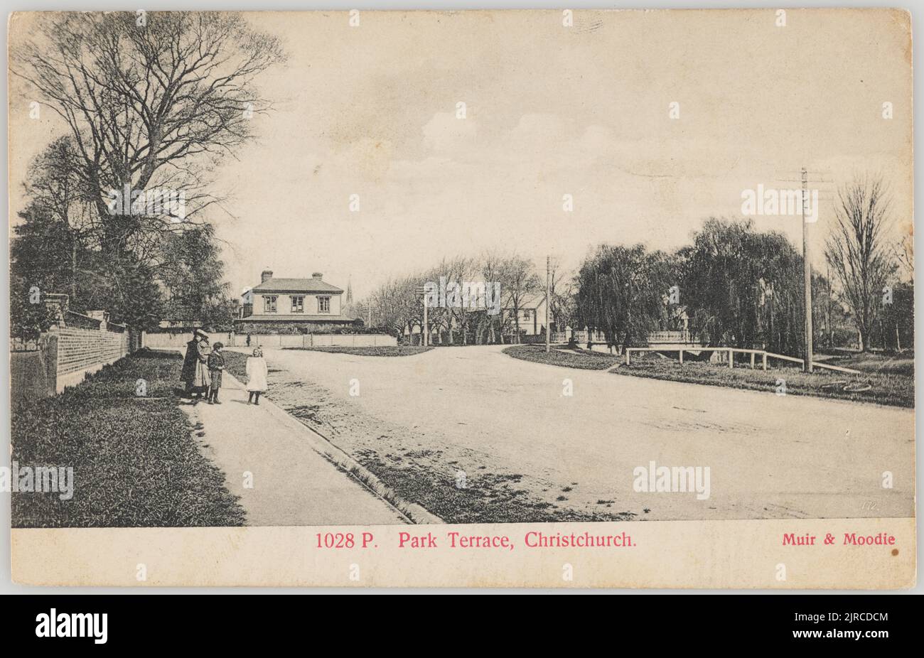 Park Terrace, Christchurch, 1905, Christchurch, by Muir & Moodie Stock
