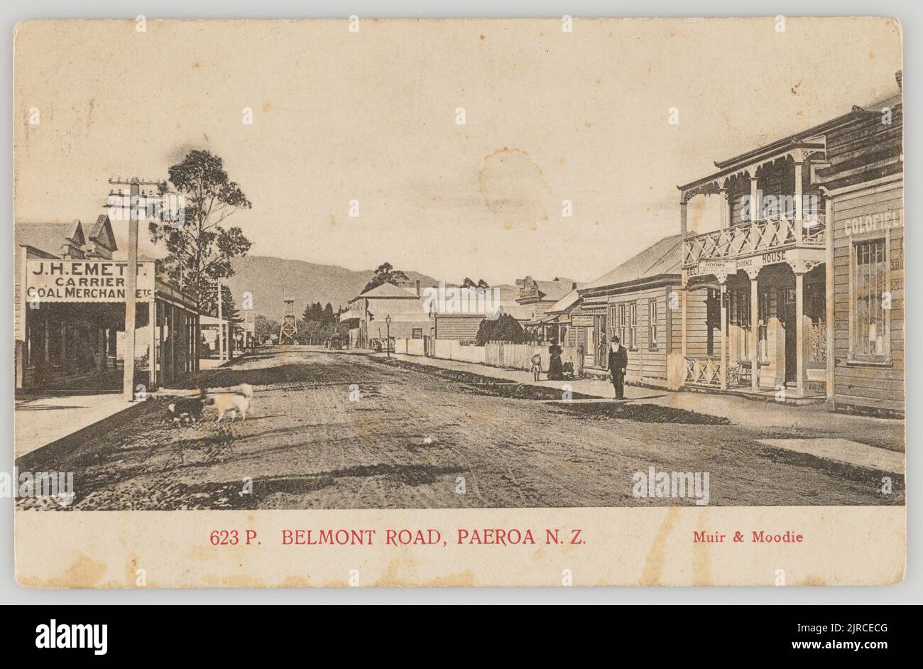 Belmont Road, Paeroa, New Zealand, 1905, Paeroa, by Muir & Moodie Stock ...