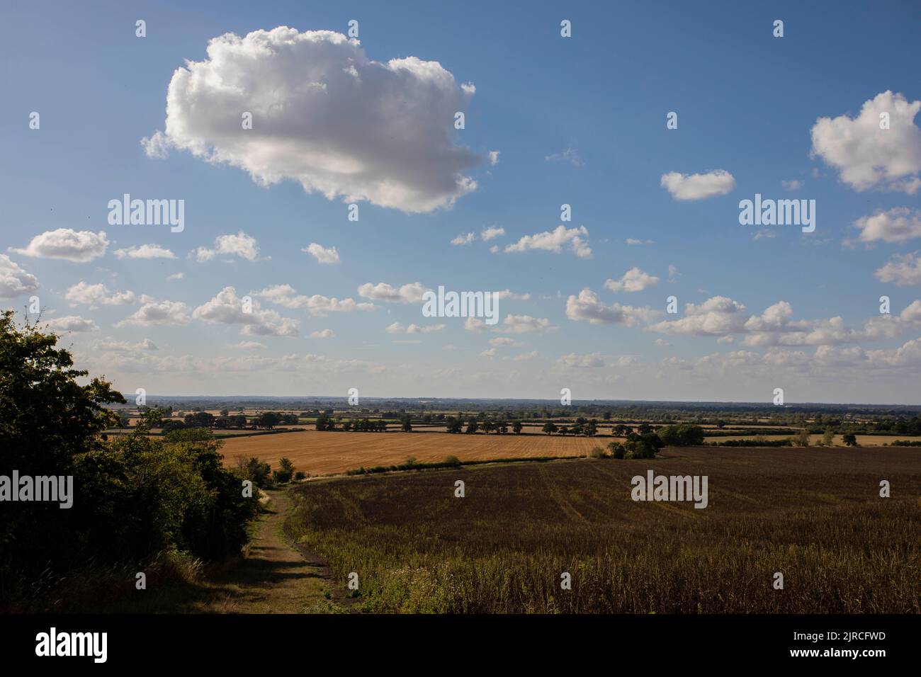 Parched farmland in Oxfordshire, England, August 2022 Stock Photo Alamy