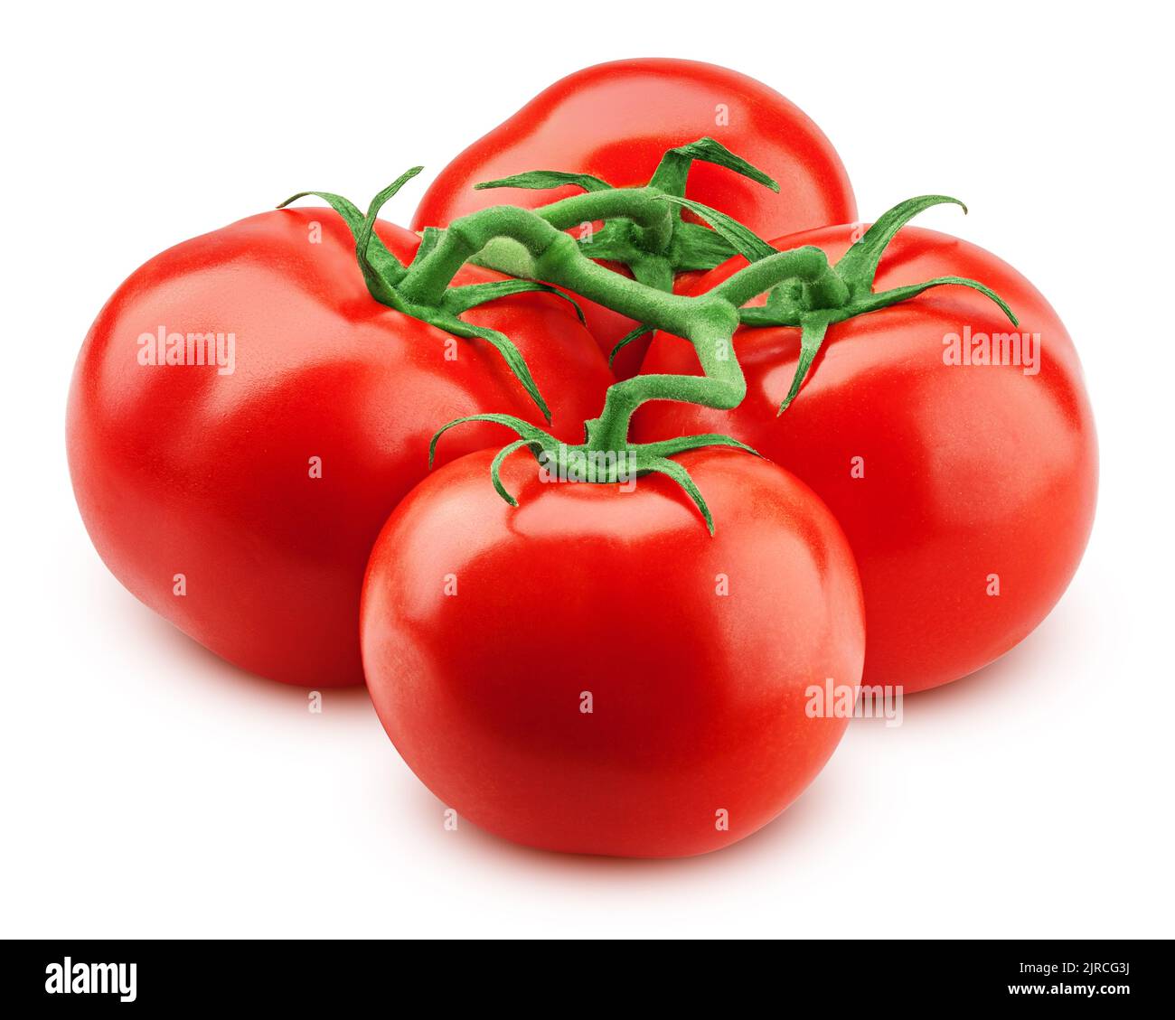 tomato on branch, isolated on white background, clipping path, full depth of field Stock Photo