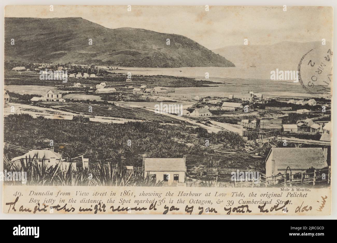Dunedin from View Street, 1861, 19001903, Dunedin, by Muir & Moodie