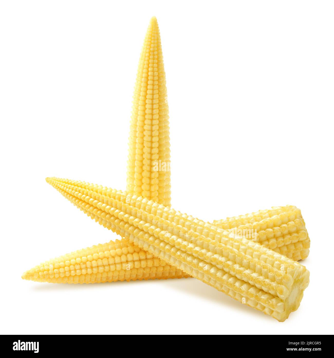 baby corn, isolated on white background, clipping path, full depth of ...