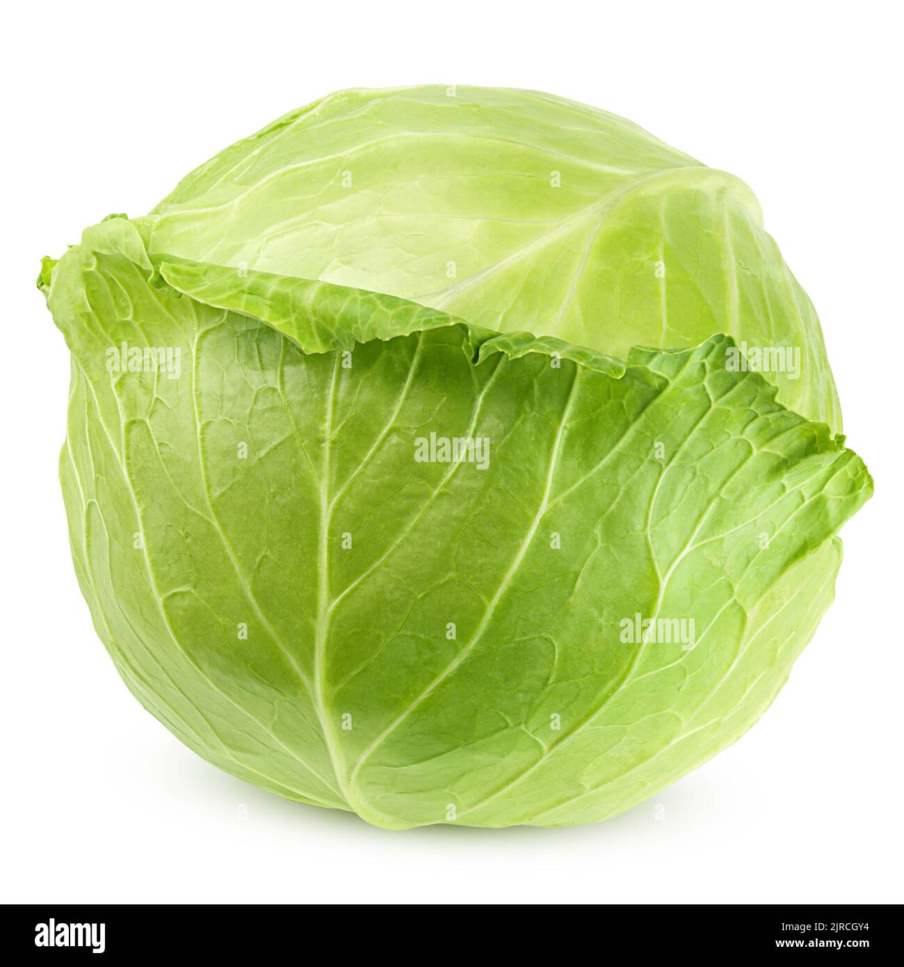 Cabbage Isolated cabbage isolated on white background, clipping path, full depth of ...