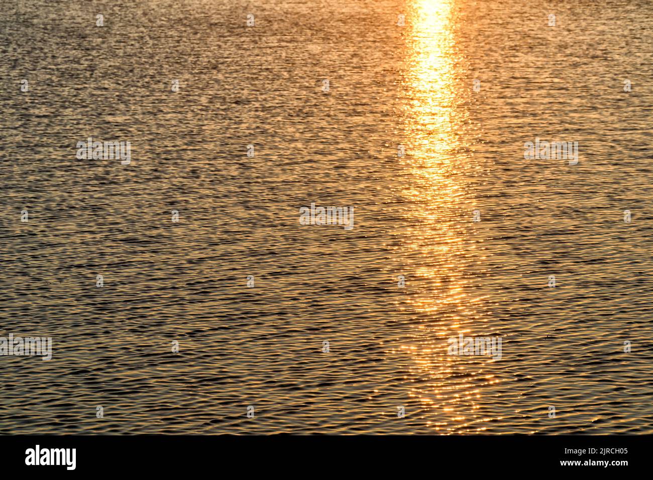 The glow of the setting Sun's light in the undulating surface of the lake. Selective focus. Golden natural or abstract background. Stock Photo