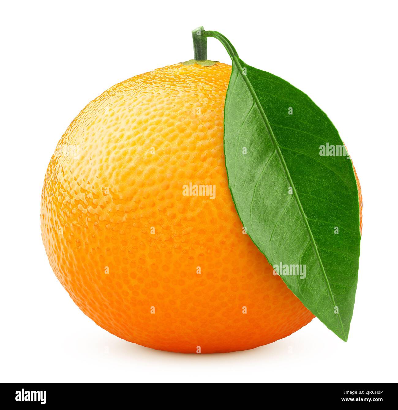 mandarin isolated on white background, clipping path, full depth of ...
