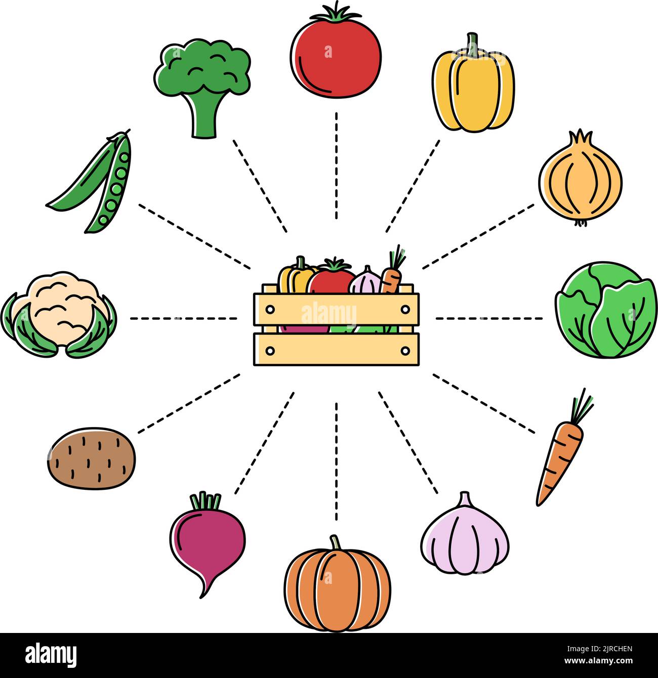 Online store with vegetables. Shopping concept, vector illustration Stock Vector