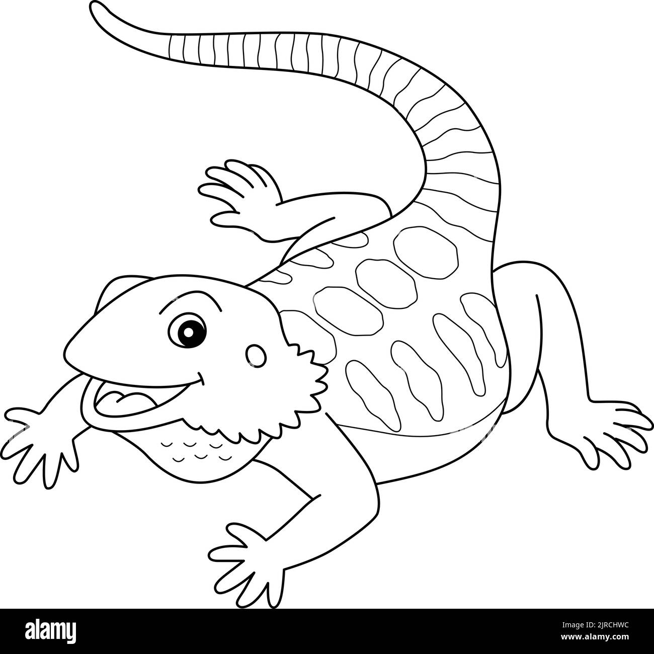 Bearded Dragon Animal Isolated Coloring Page  Stock Vector