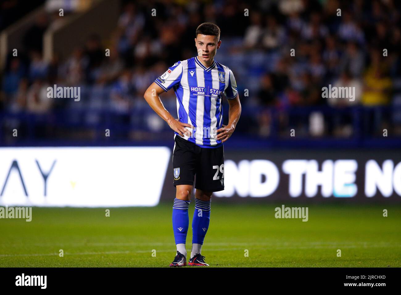 Alex Hunt 29 of Sheffield Wednesday Stock Photo Alamy