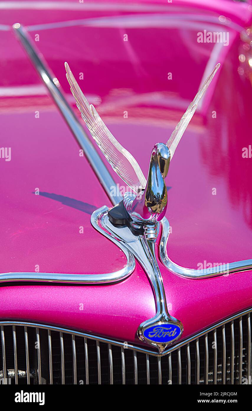The swan hood ornament from a classic Ford automobile. Stock Photo