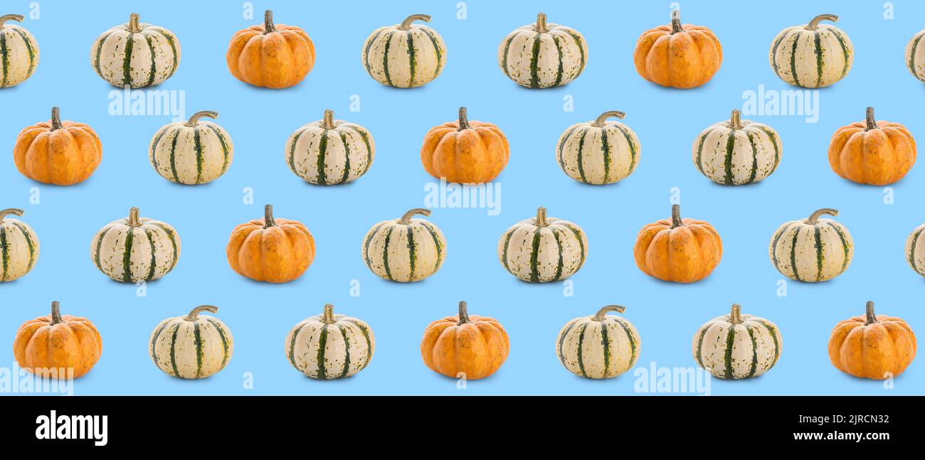 Many pumpkins on light blue background. Pattern for design Stock Photo