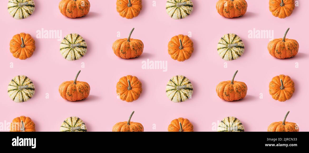 Many pumpkins on pink background. Pattern for design Stock Photo - Alamy