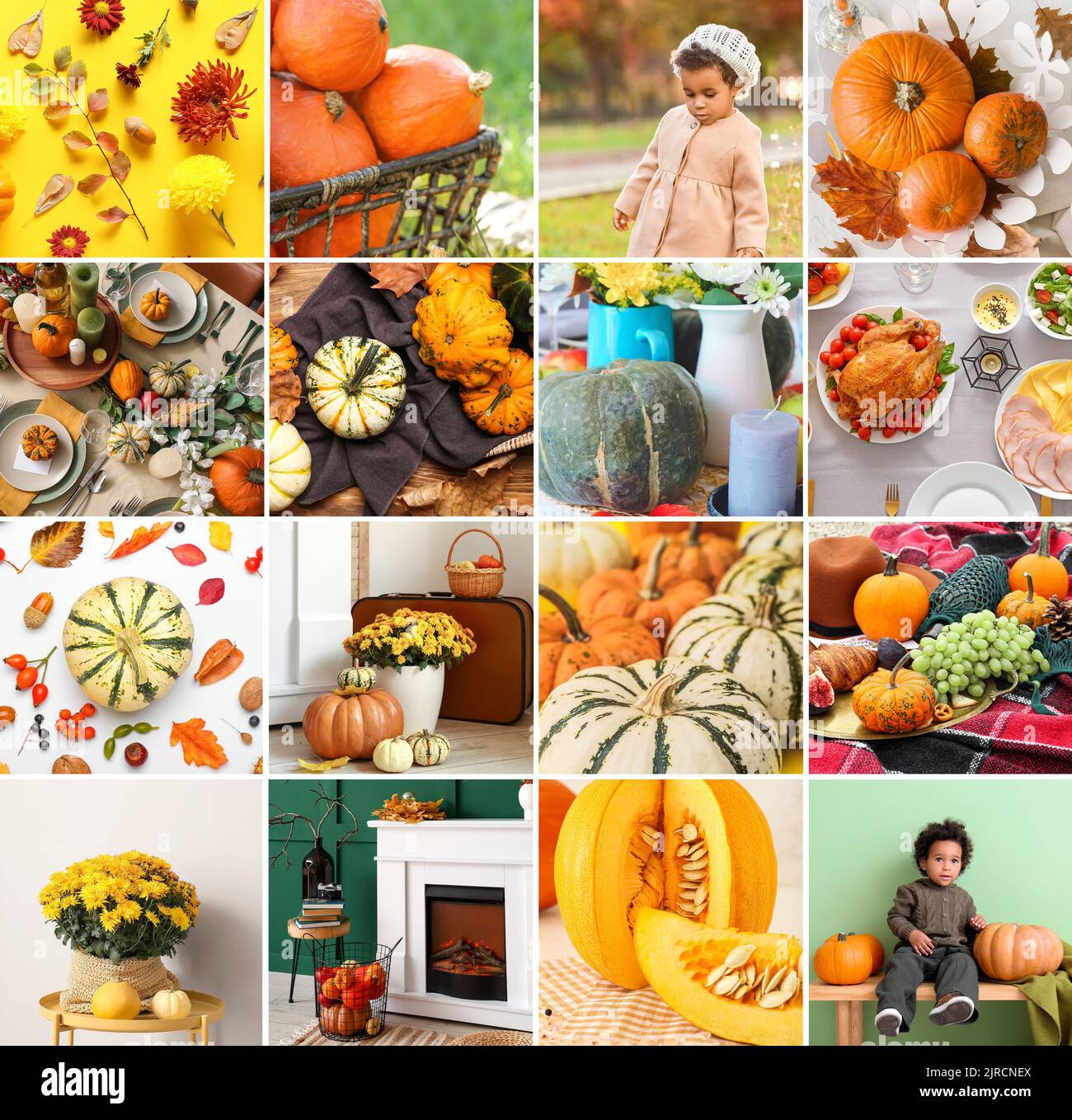 Boston globe thanksgiving