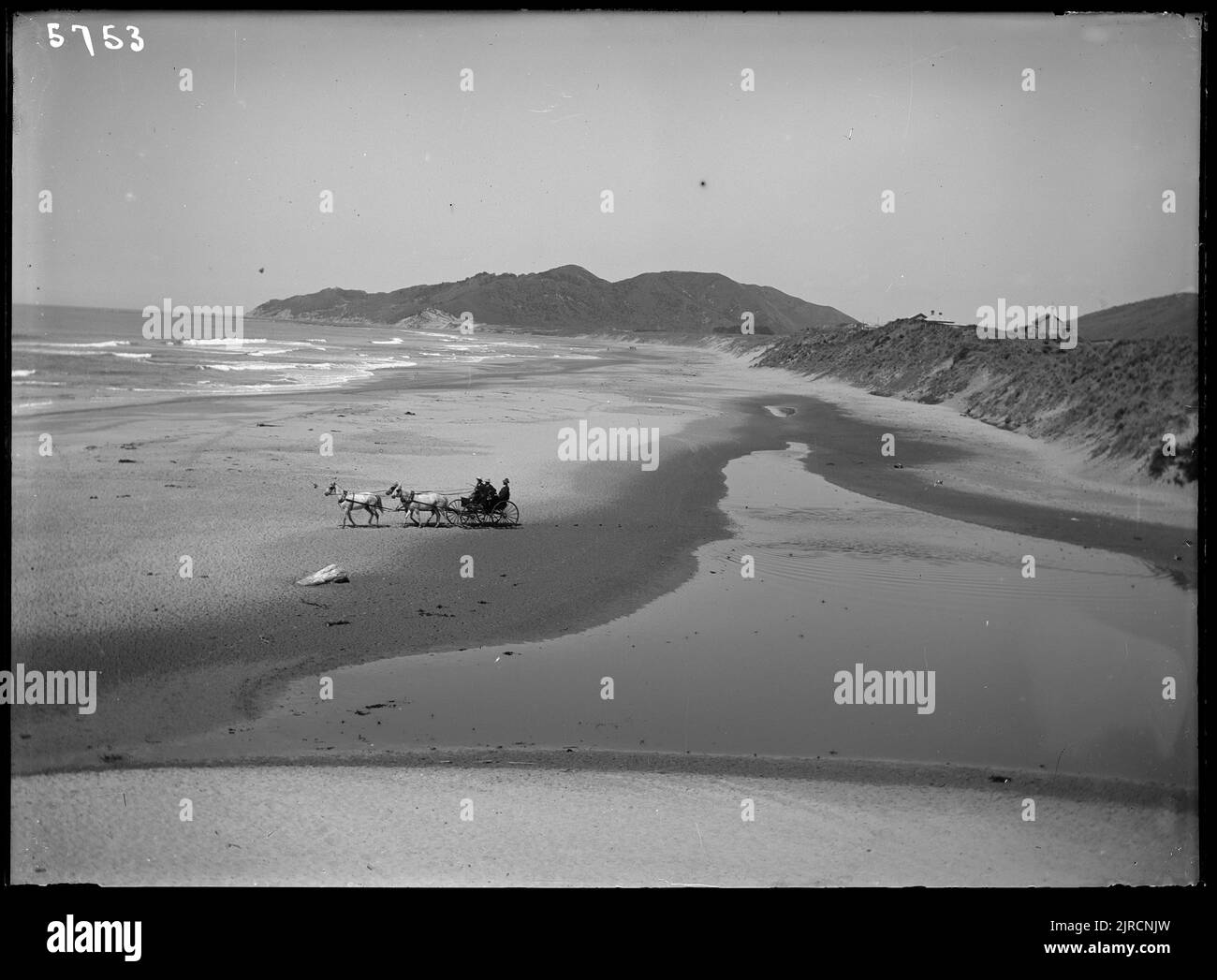 Tolaga Bay Trip Wainui Beach, Gisborne, looking south east, 1903