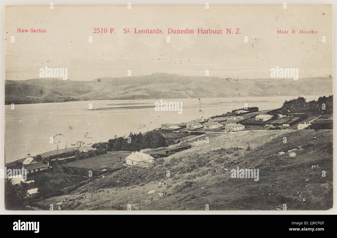St Leonards, Dunedin Harbour, New Zealand, 1906, Dunedin, by Muir