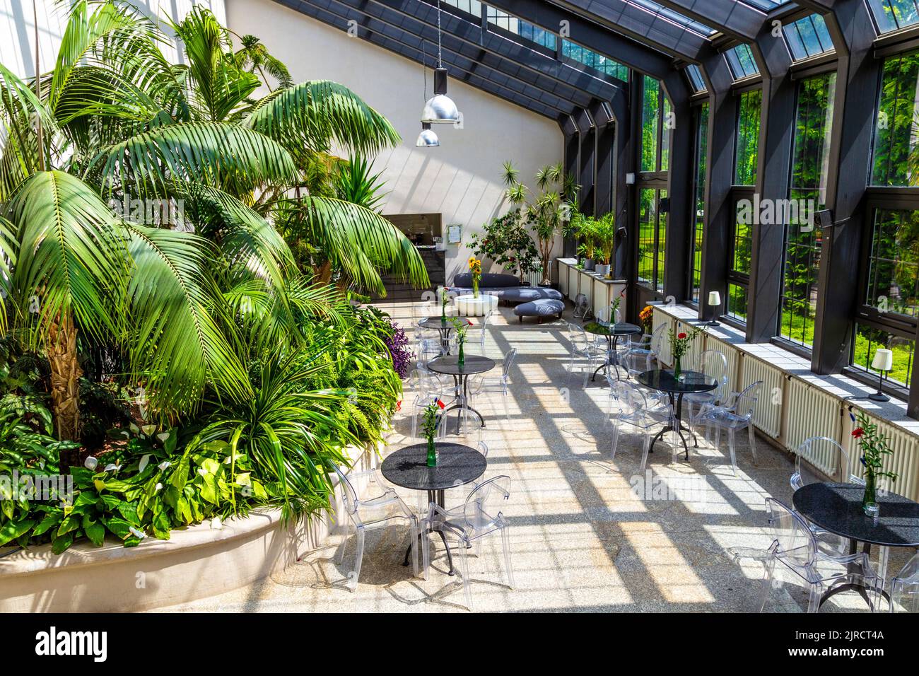 Glasshouse cafe with palm trees overlooking palace gardens at Wilanow Palace, Warsaw, Poland Stock Photo