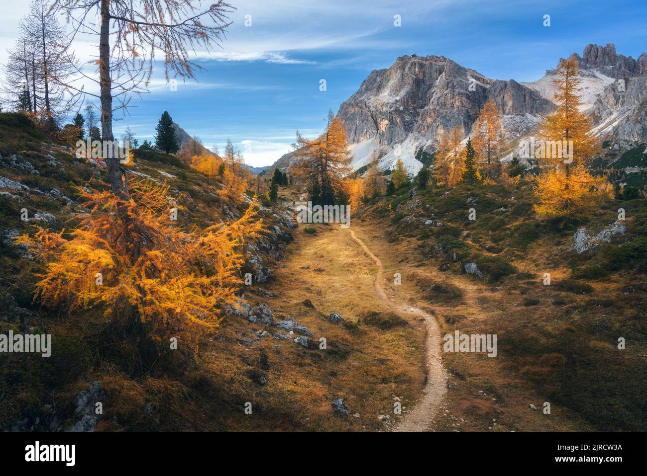 Sunshine forest path autumn hi-res stock photography and images - Alamy