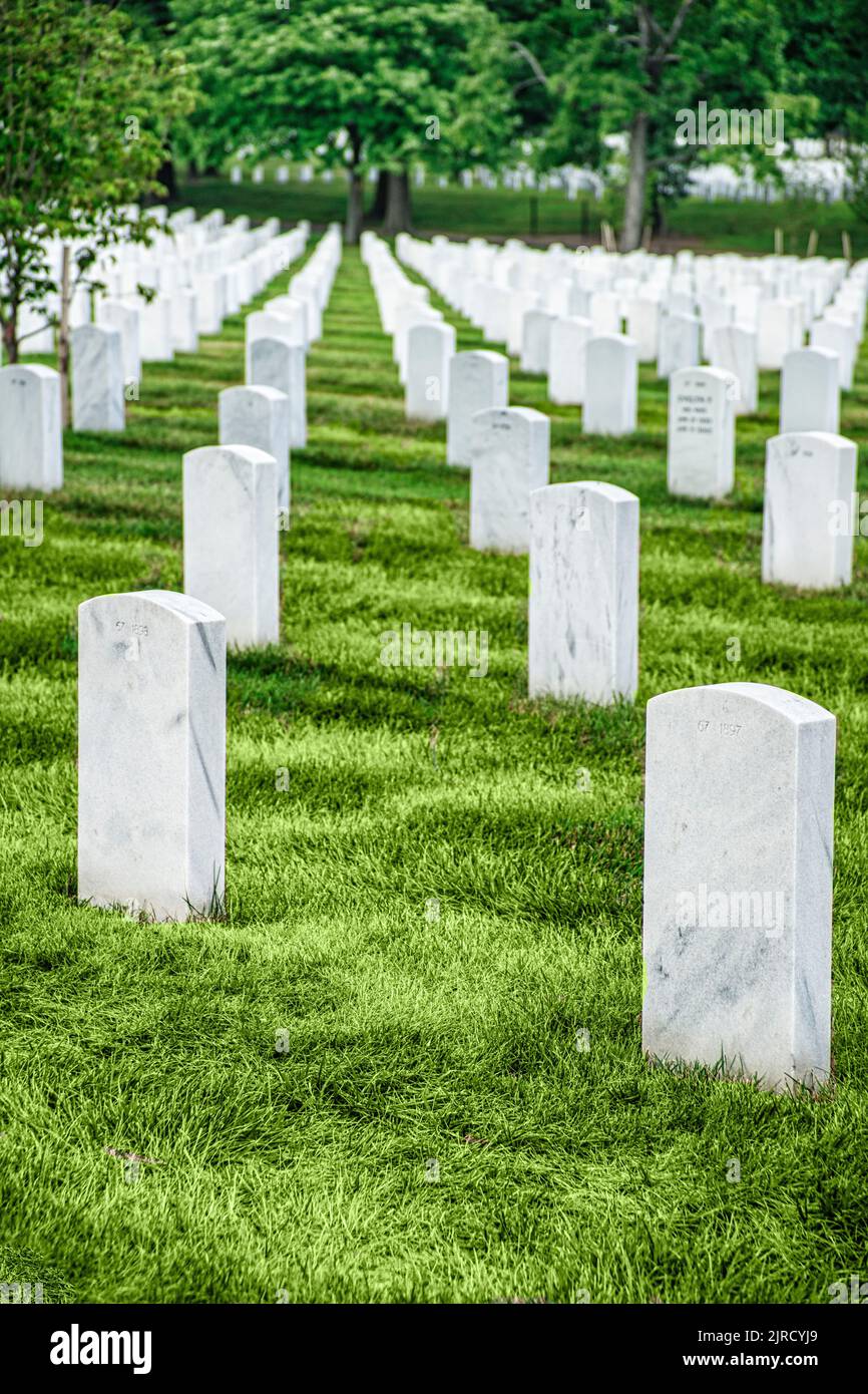 Uniform rows of white marble headstone graves at Arlington National