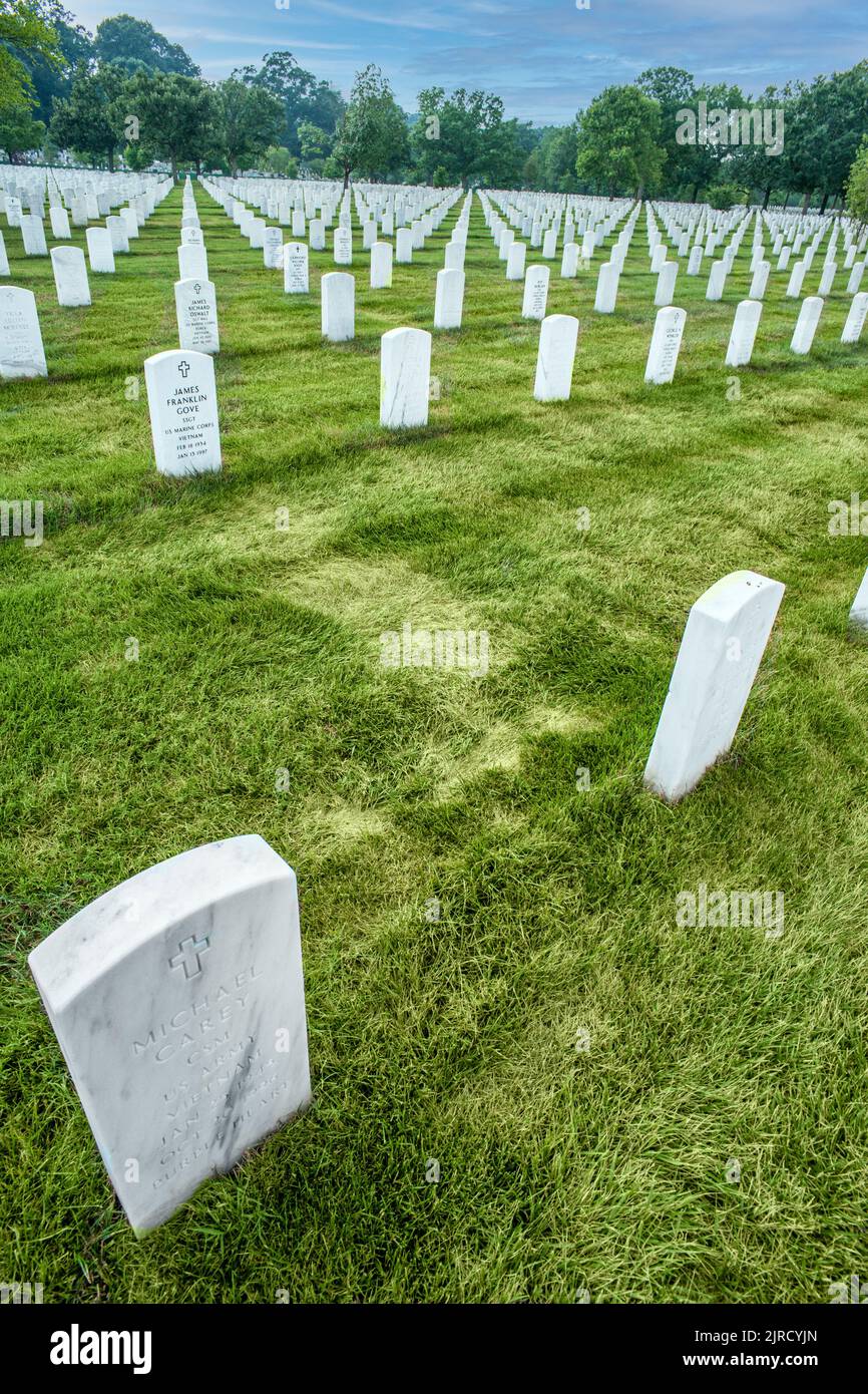 Uniform rows of white marble headstone graves at Arlington National