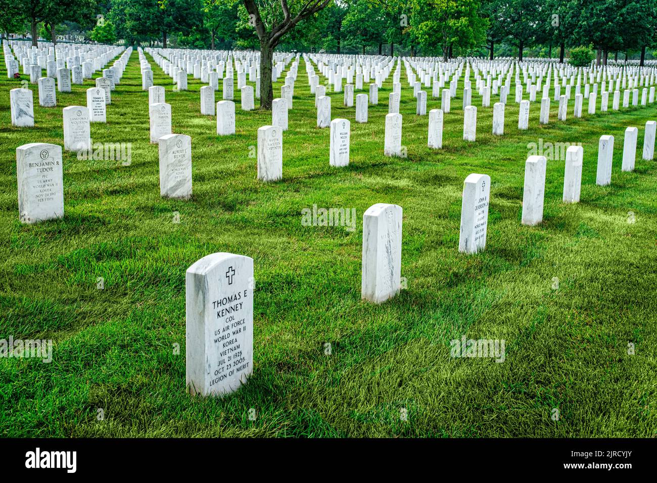 Uniform rows of white marble headstone graves at Arlington National
