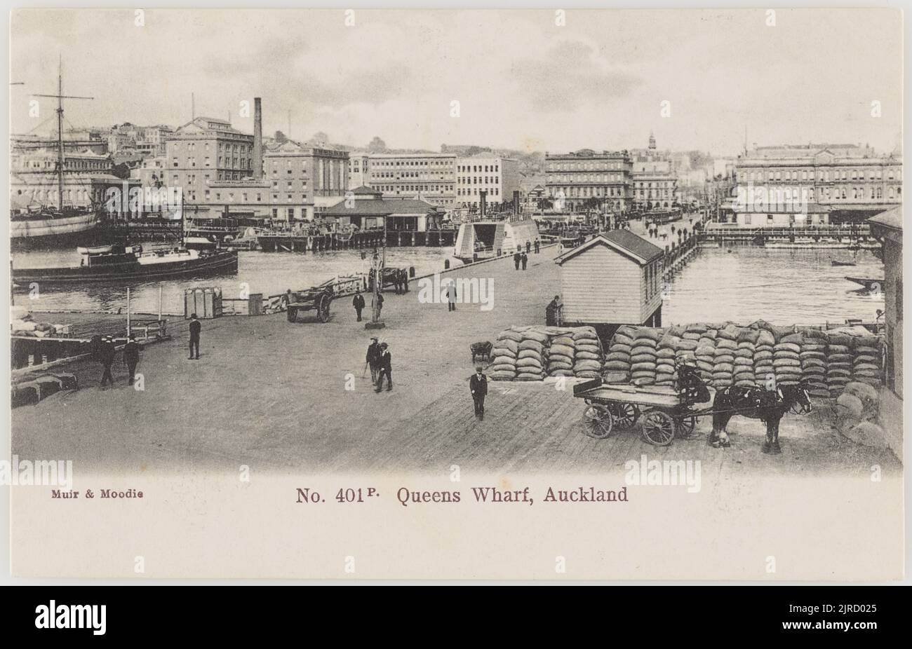Queens Wharf, Auckland, 1905, Auckland, by Muir & Moodie. Stock Photo