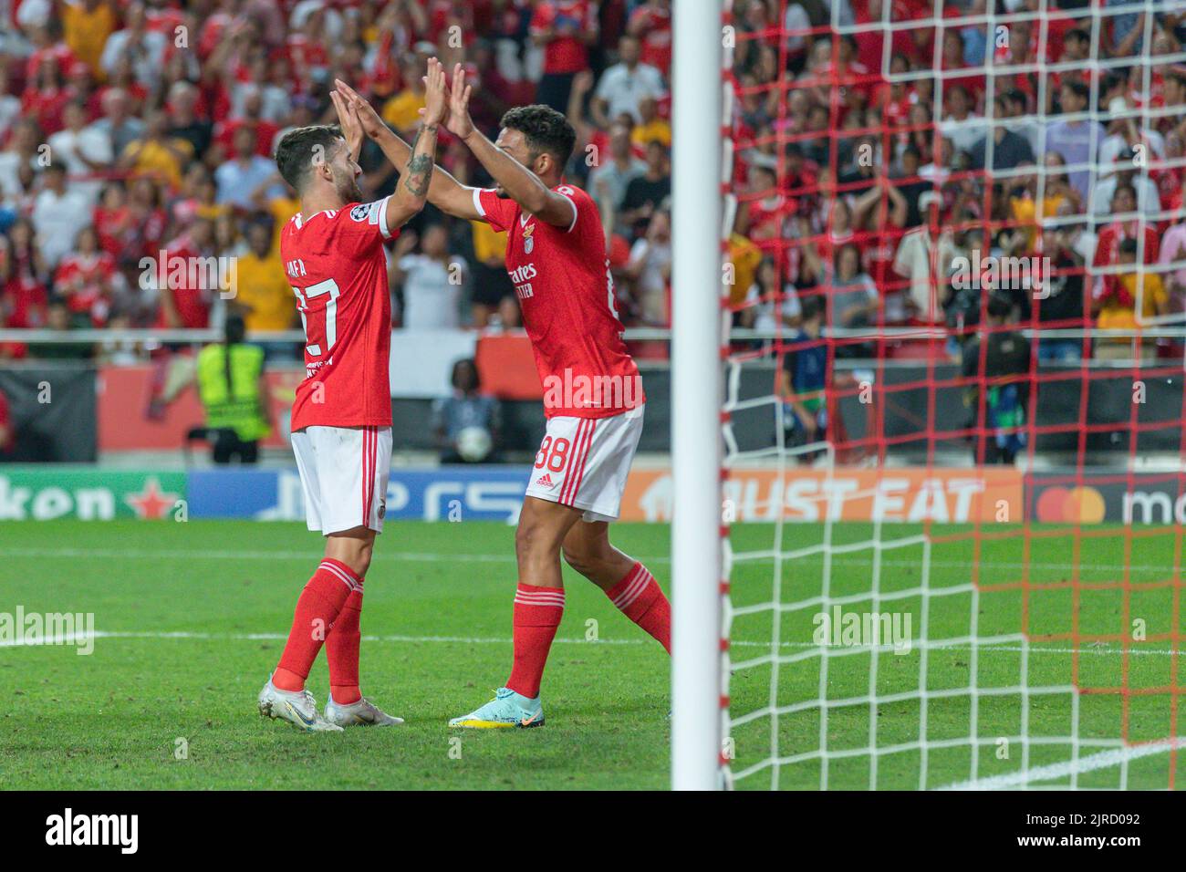 Lisbon, Portugal. August 23, 2022. Lisbon, Portugal. Benfica's forward from Portugal Rafa Silva (27) celebrating with Benfica's forward from Portugal Goncalo Ramos (88) after scoring a goal during the game of the 2nd Leg of the Playoffs for the UEFA Champions League, Benfica vs Dynamo Kyiv Credit: Alexandre de Sousa/Alamy Live News Stock Photo