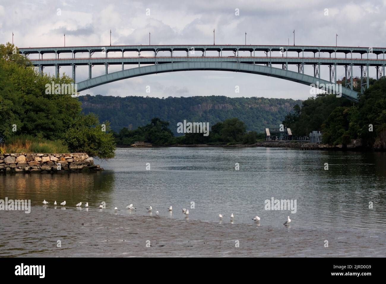 Henry Hudson Bridge over Spuyten Duyvil Creek connecting Manhattan to the Bronx on a cloudy morning, seagulls wade in a row at the edge of the water Stock Photo