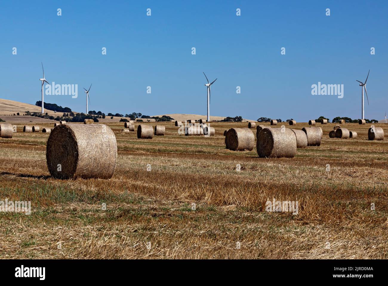 Waubra Australia /  Hay bales in a field in rural Waubra Victoria Australia. Stock Photo