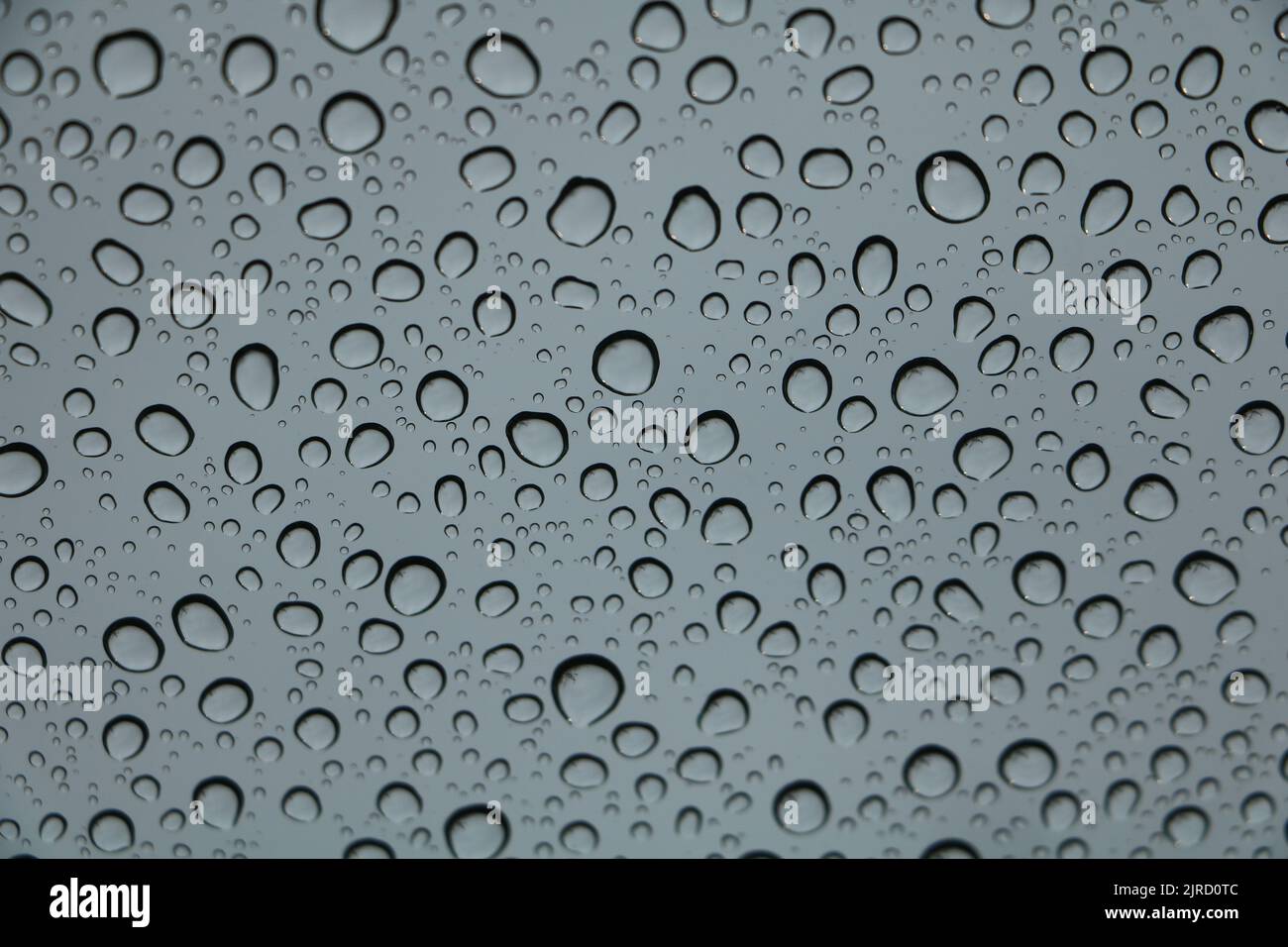 Raindrops on the window Stock Photo