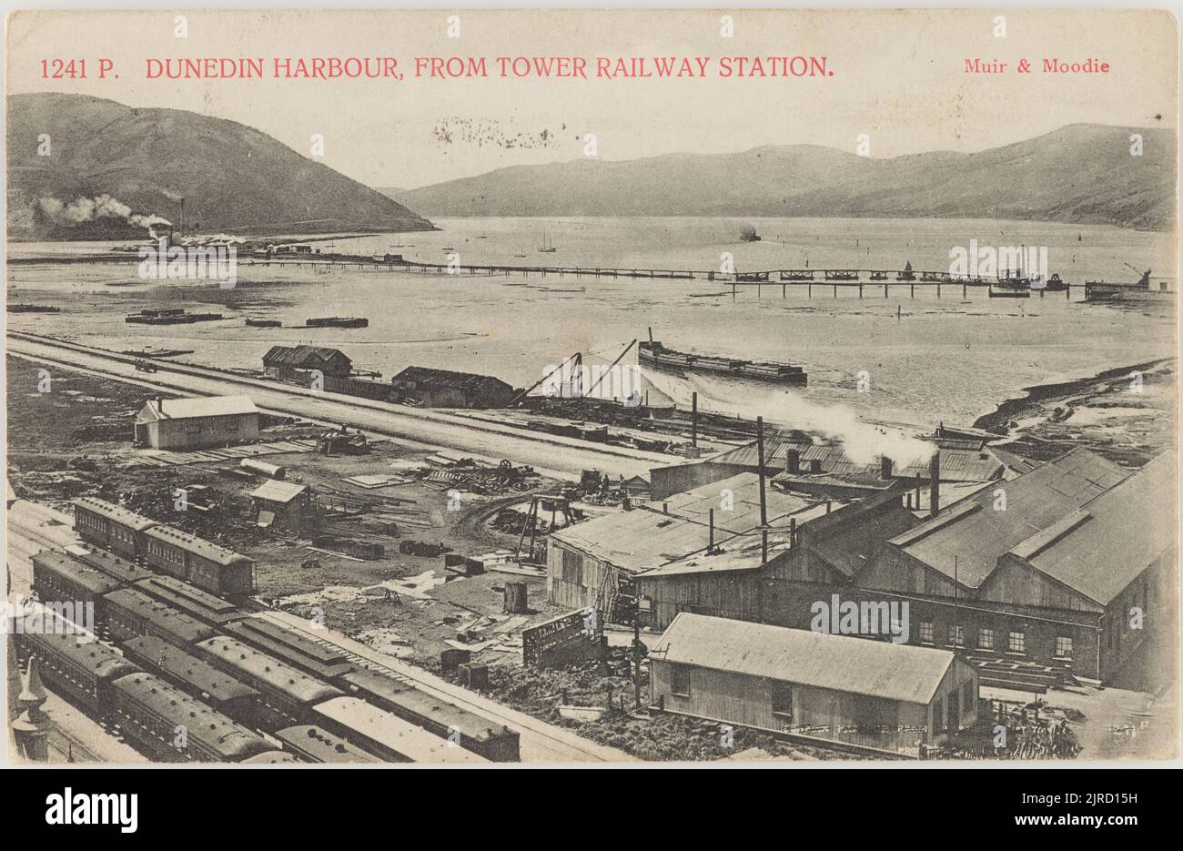 Dunedin Harbour, from Tower Railway Station, 1905, Dunedin, by Muir
