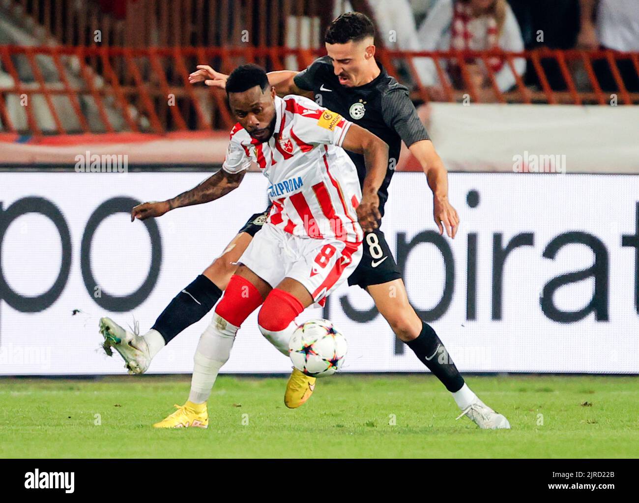 UEFA Champions League: Crvena Zvezda vs. Young Boys-Xinhua