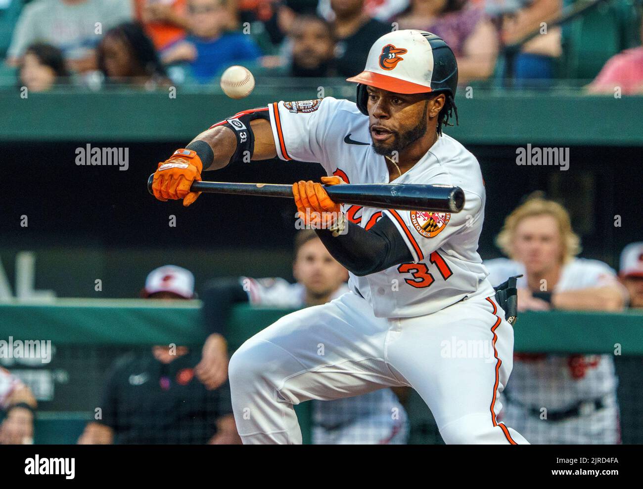 BALTIMORE, MD AUGUST 23 Baltimore Orioles center fielder Cedric