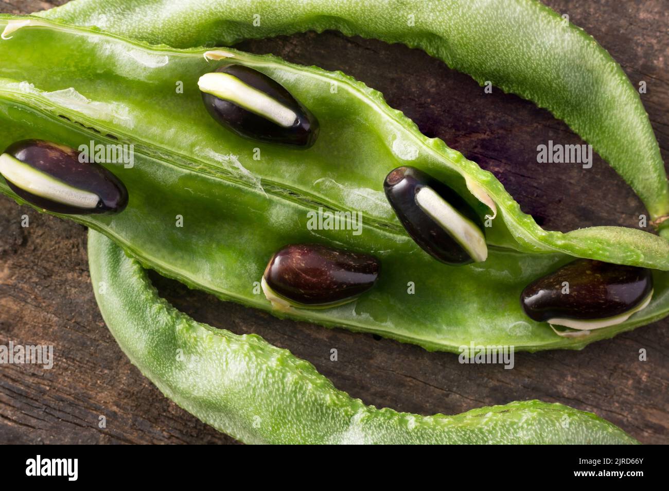 close-up macro view of hyacinth bean pods with seeds, lablab purpureus, also known as valor papdi beans, edible indian vegetable on wooden surface Stock Photo