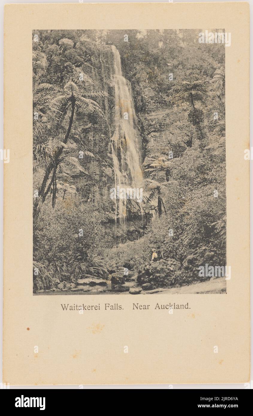 Waitakerei Falls. Near Auckland., by Muir & Moodie, Burton Brothers. Stock Photo