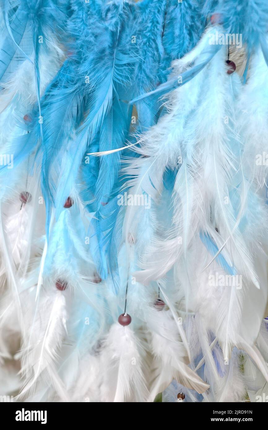 Bird feathers - glamour, fluffy gentle vertical background in white - blue colors. Abstract, blur style and soft and delicate shade of pastel color fo Stock Photo