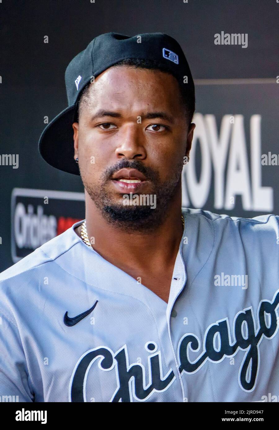 San Diego Padres right fielder Fernando Tatis Jr (23) warms up before an  MLB regular season game against the Colorado Rockies, Tuesday, August 17,  202 Stock Photo - Alamy