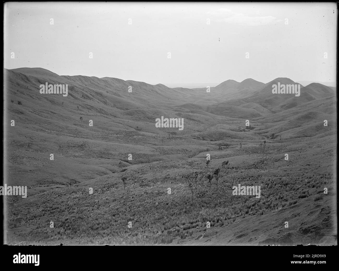 Hatuma and Takapau, Hawkes Bay, by Leslie Adkin Stock Photo Alamy