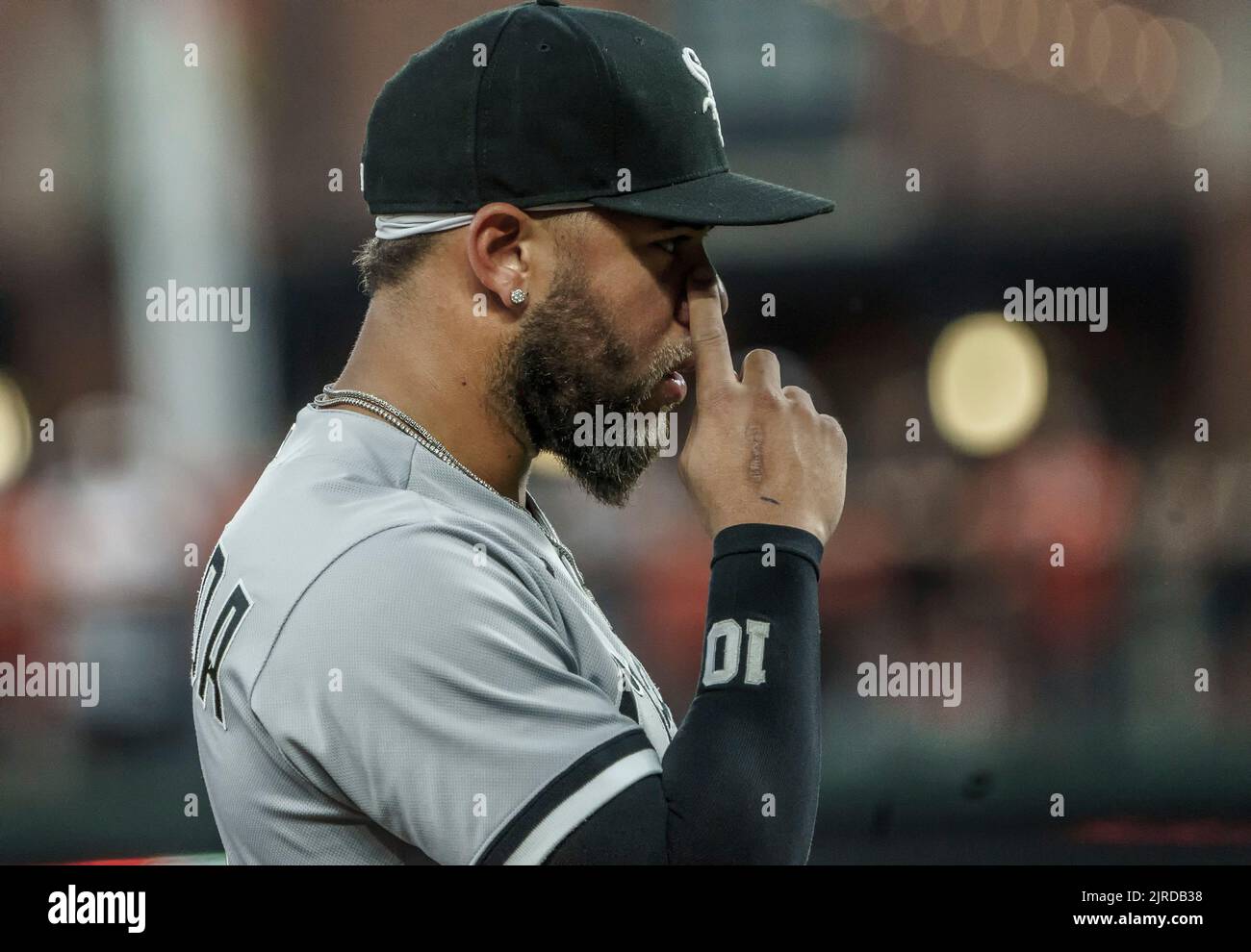 White Sox shortstop Ozzie Guillen -- Please credit photographer Kirk Schlea  Stock Photo - Alamy