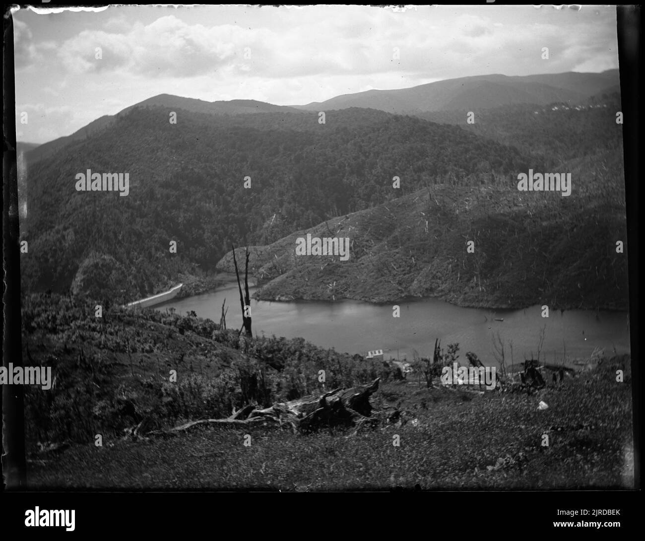 tokomaru-arapete-hi-res-stock-photography-and-images-alamy