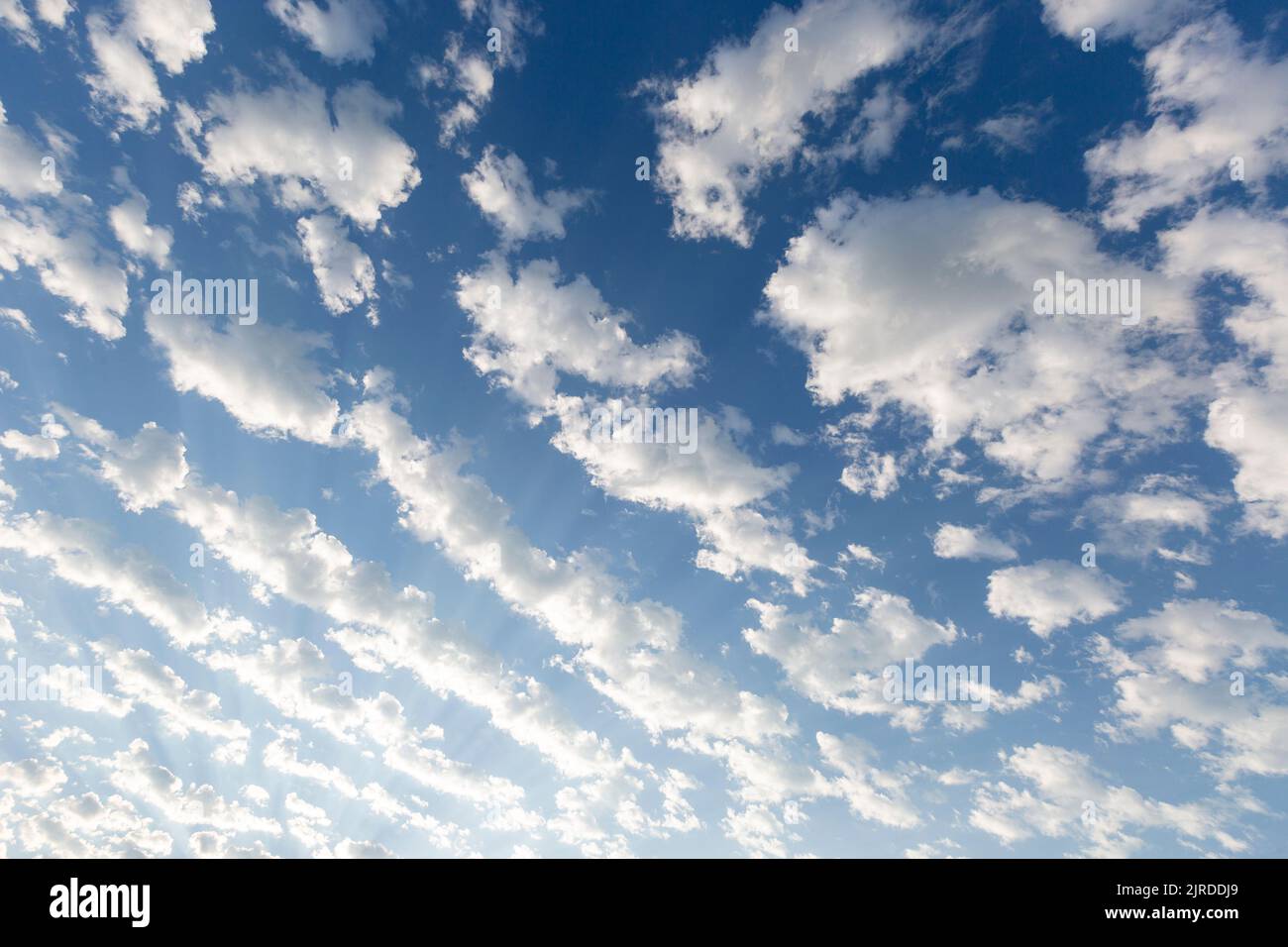 Dramatic blue sky with fluffy white clouds Stock Photo - Alamy