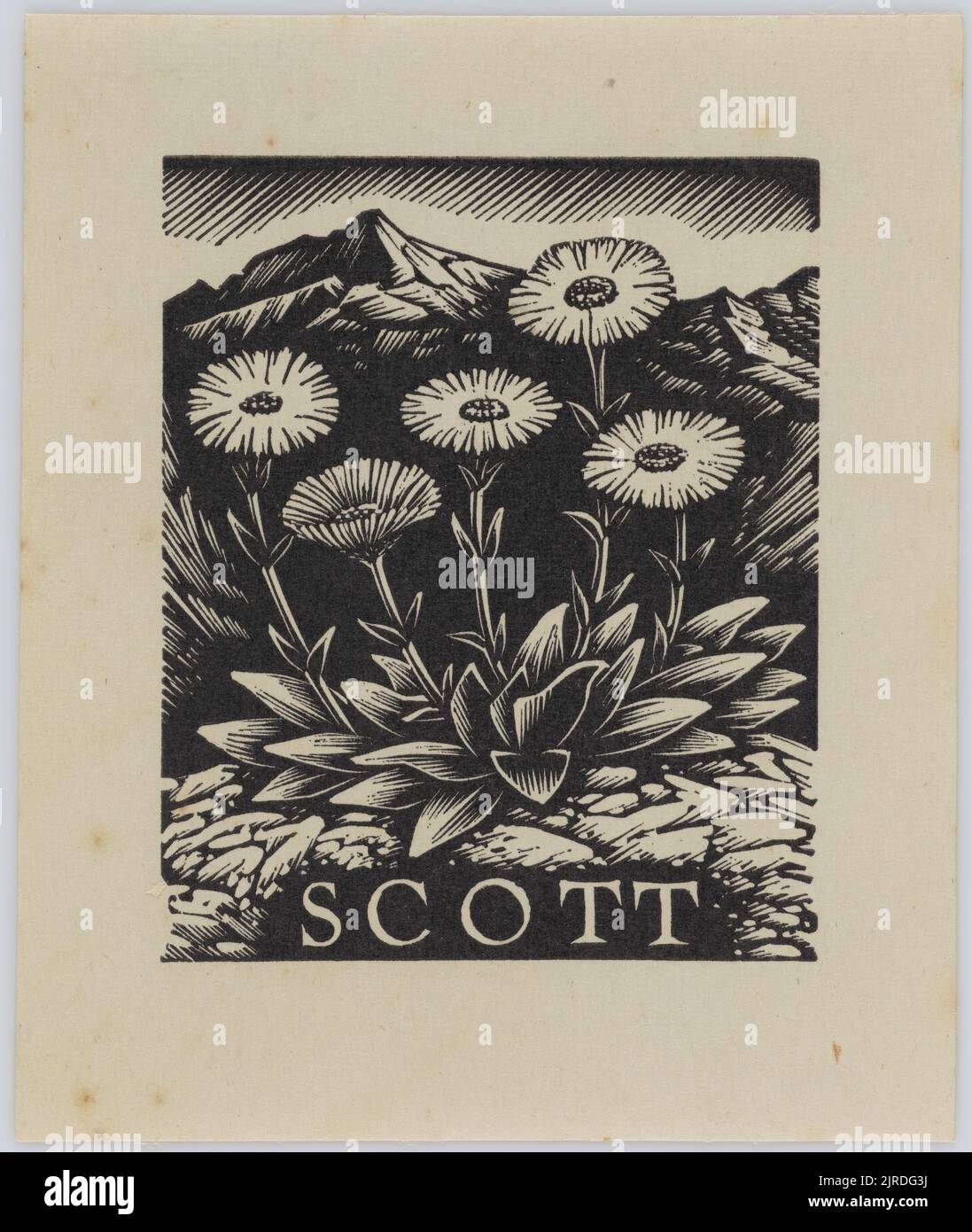 Bookplate: Scott., 1953, Wellington, by E Mervyn Taylor. Gift of Mrs E Henderson, 1987. Stock Photo